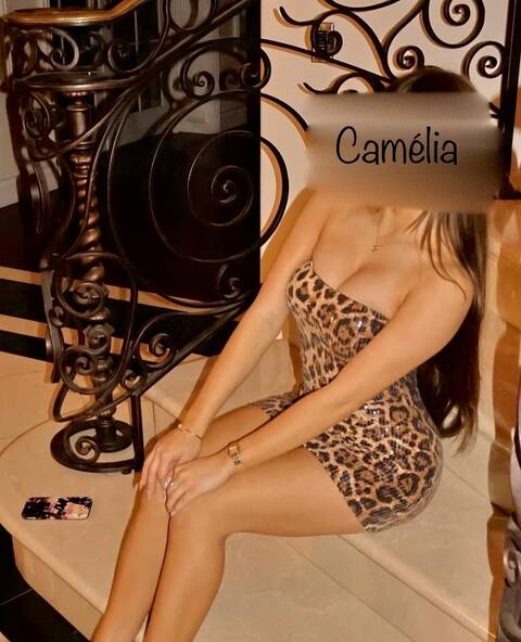 Camélia