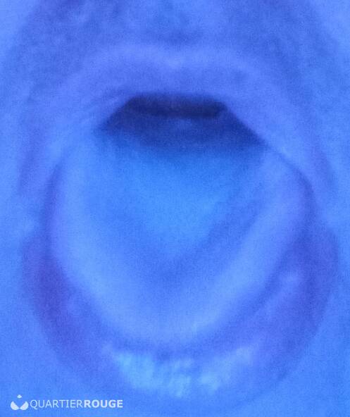 Je suce uniquement ( homme bi)