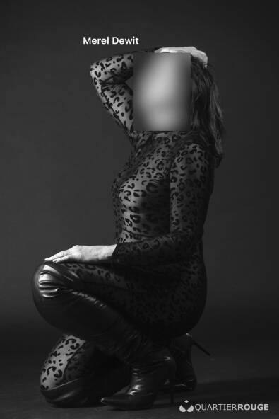 MEREL DEWIT