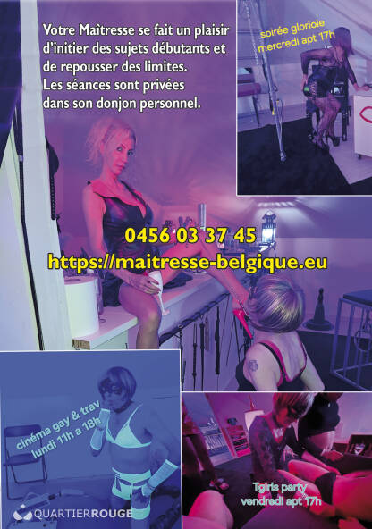 sisi dispo waterloo