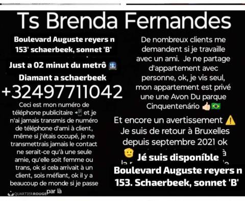 Privé Brenda Transsexuel