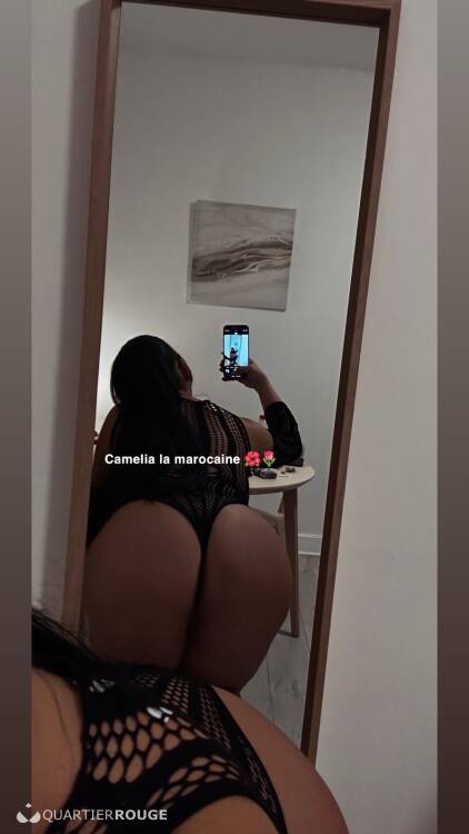 Priv&eacute; Camelia