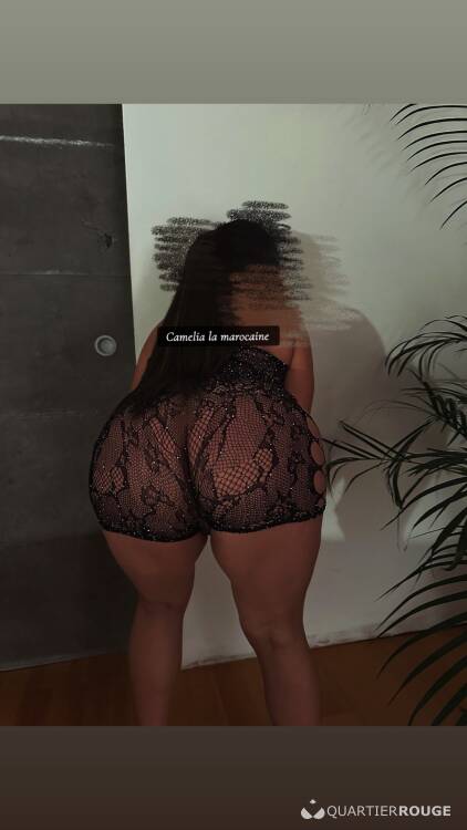 Escort Camelia