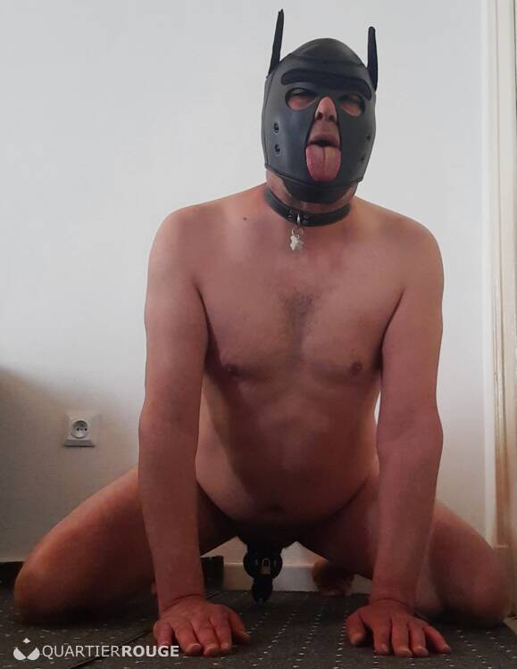 Libertins Doggie