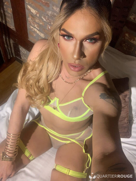 Privé Lexus Femboy XL