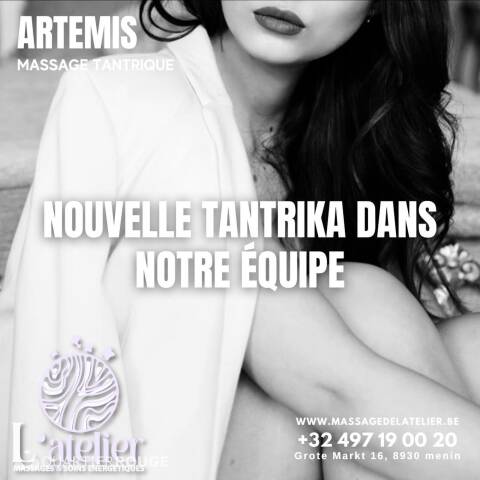 Privé Artémis