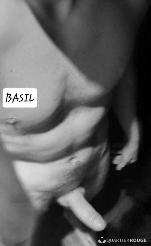 BASIL (Photo)