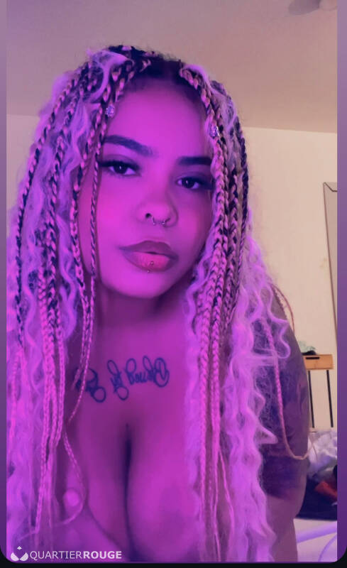 Kamila brsilienne (Photo)