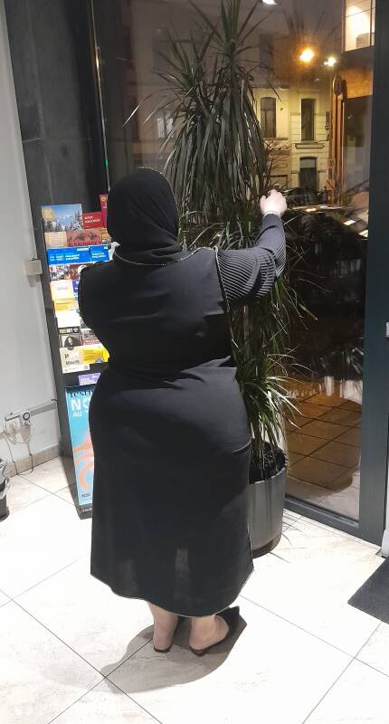 Malak rayena (Photo)