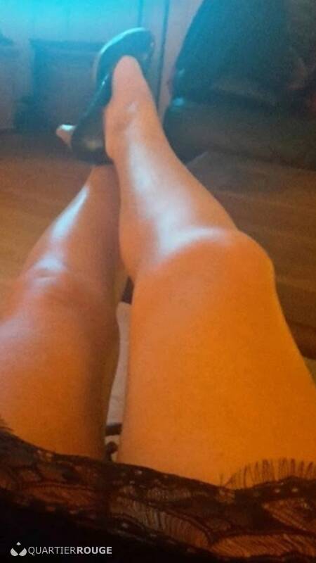 Cochonne tournai vénale (Photo)