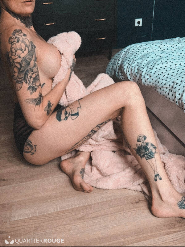 Charlie frenchie (Photo)