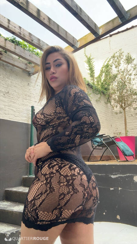 Aila melissa (Photo)