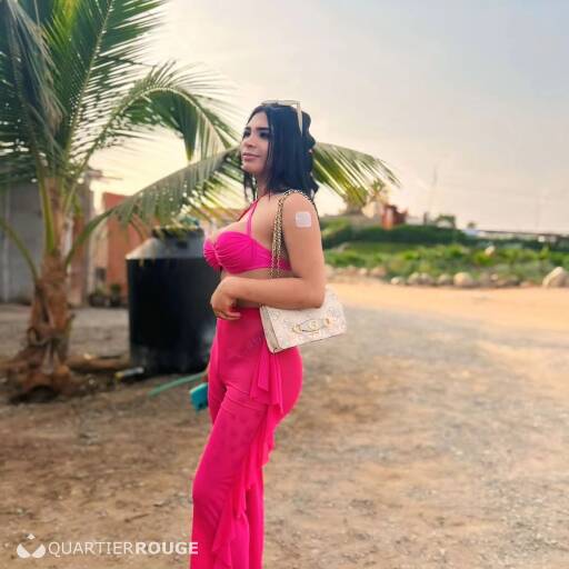 Flavia trans (Photo)