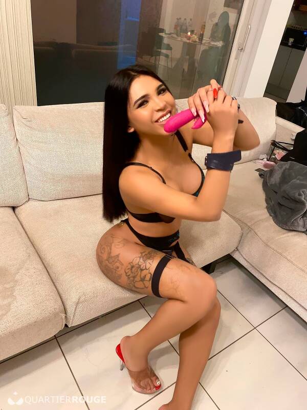 Flavia trans (Photo)