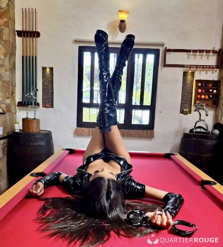 Flavia trans (Photo)