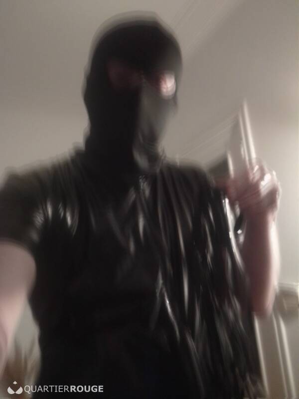 Maître perkiss (Photo)