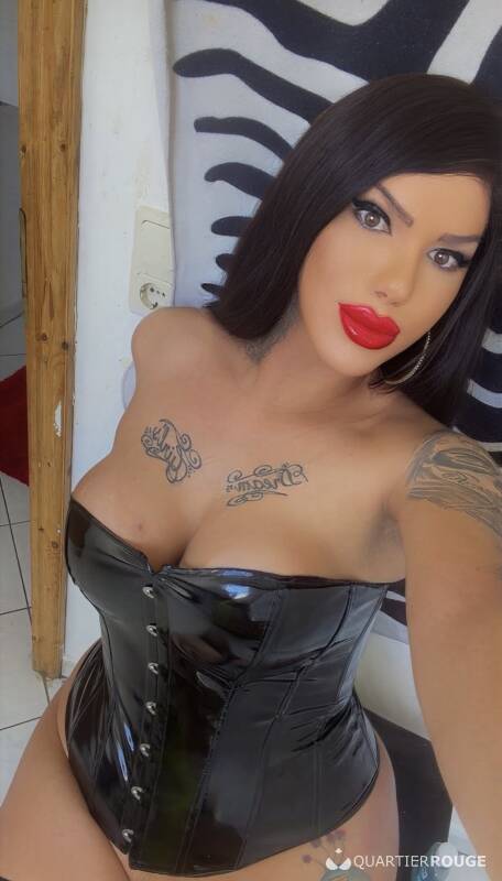 Ts latina sexy (Photo)