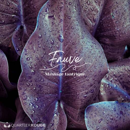 Fauve (Photo)