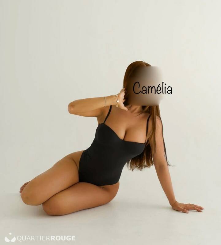 Camélia (Photo)