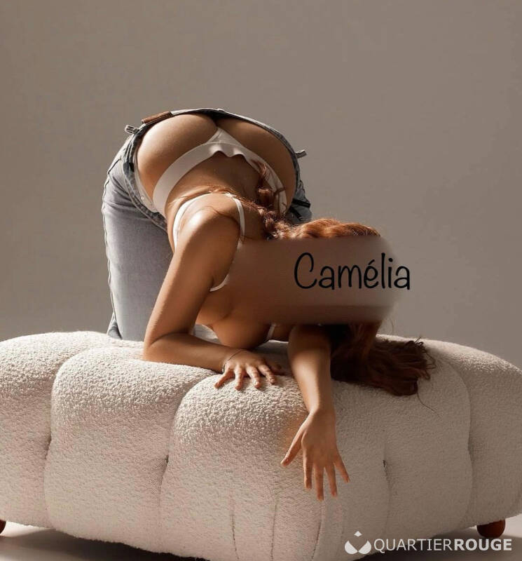 Camélia (Photo)