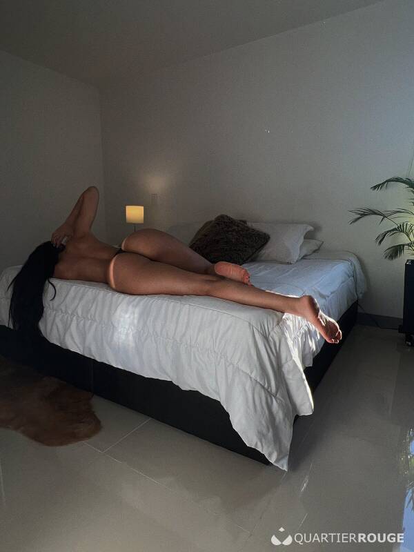 PAOLITA  Versatile (Photo)