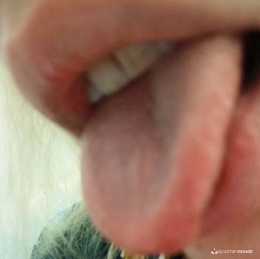 Laura (Photo)