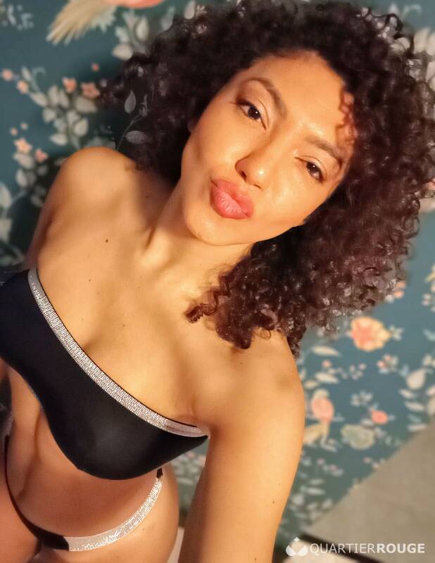 Lara latina (Photo)