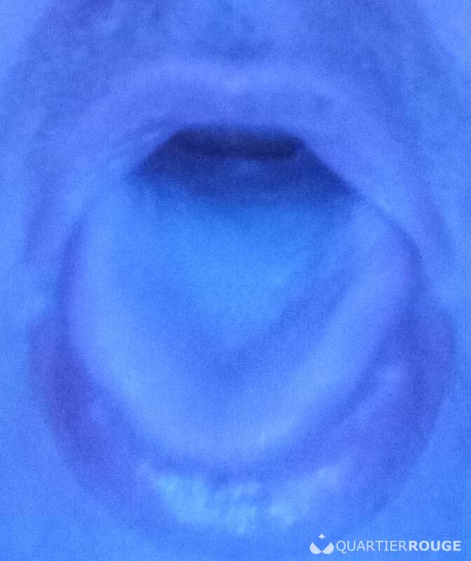 Je suce uniquement ( homme bi) (Photo)