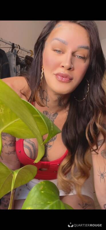 Jhosef ferreira rodrigues (Photo)