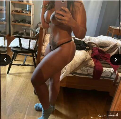 Anglica latina (Photo)