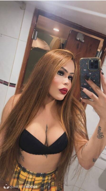 Meli latina (Photo)