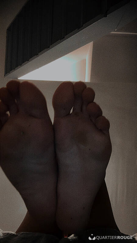 Loris (Photo)