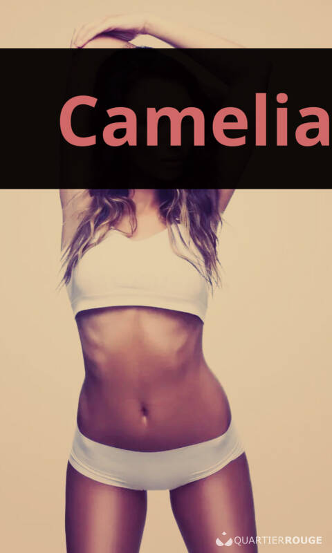 Camélia (Photo)