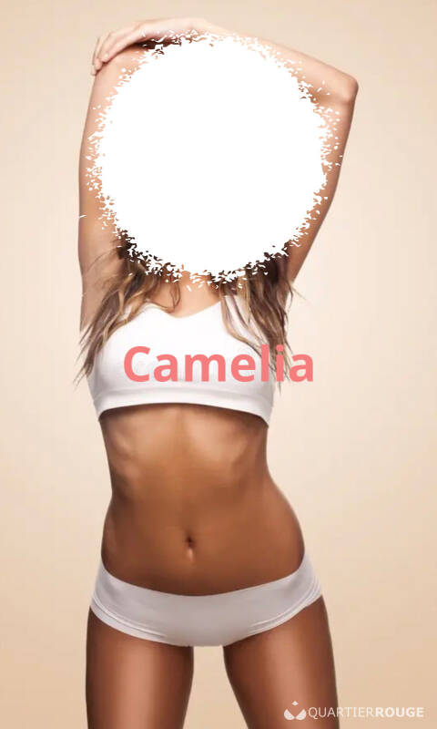 Camélia (Photo)