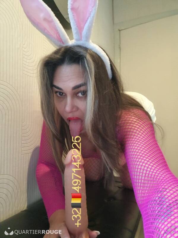 TRANS ISABELLA (Photo)