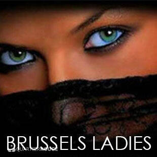 BRUSSELS LADIES (Photo)