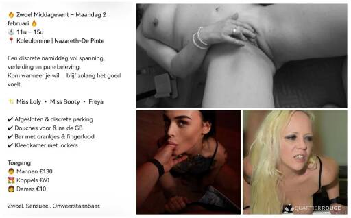 Dekoleblomme (Photo)