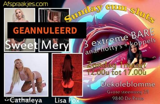 Dekoleblomme (Photo)