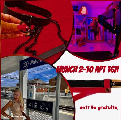 Tgirls Party dans gloriole (Photo)
