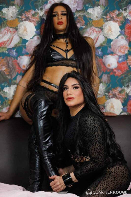 TRANS EVA & LOLLA (Photo)