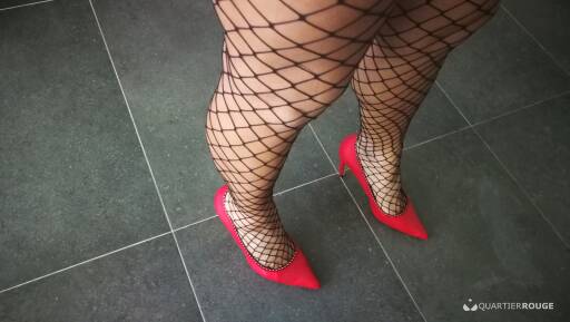 Trans Isabella (Photo)