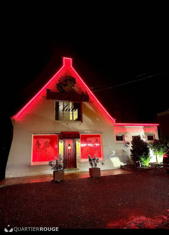 Besame Mucho (Photo)