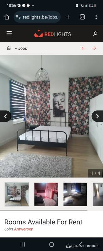 KAMERS TE HUUR (Photo)