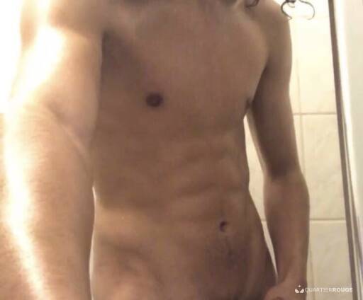 Gato (Photo)