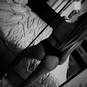 Bella_ (Photo #2)