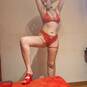 Dragonrouge (Photo #6)