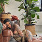 Aa.domme (Photo #45)