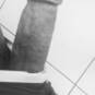 Abdou (Photo #2)