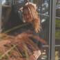 Mel (Photo #34)