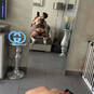 Lissio (Photo #9)